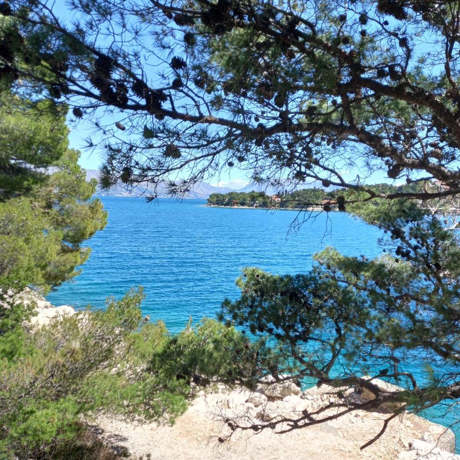 Kuca Za Odmor Skalina - Sea View Villa Splitska Luaran gambar